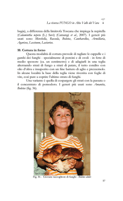 La risorsa FUNGO in Alta Valle del Vara bugia), a differenza della