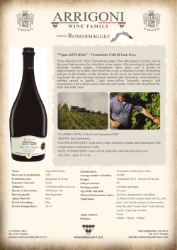 "Vigna del Prefetto" - Vermentino Colli di Luni D.o.c