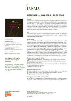 PIEMONTE DOC BARBERA LARG&Eacute; 2009