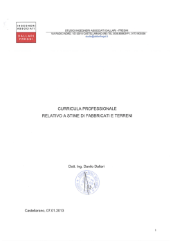 Curriculum Ing Dallari Danilo