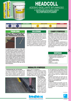 HEADCOLL - Index S.p.A.