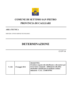 DETERMINAZIONE