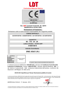 CE 2014 DOP pali ill Enel Collaudo n036 17_01_2014
