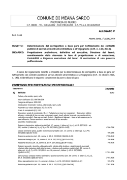04 CALCOLO PARCELLA D.M. 143.2013