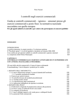 I controlli negli esercizi commerciali Guida ai controlli commerciali