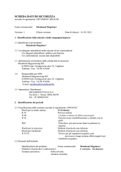 Metabond Megalene Plus