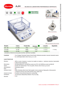LABORATORIO DI PRECISIONE