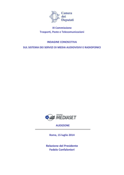 Indagine conoscitiva Luglio 2014_Relazione FConfalonieri