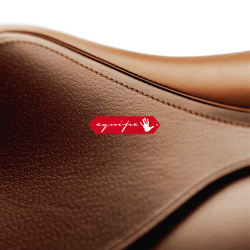 REØ5 - Augustinus Equipe DK