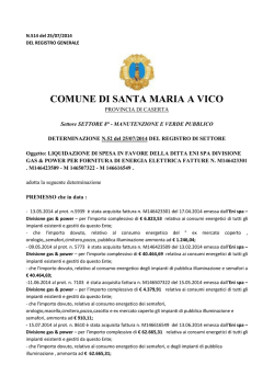514 - Comune di Santa Maria a Vico
