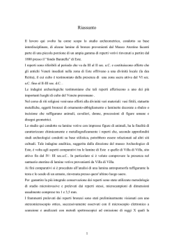 Documento PDF (Tesi)