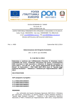 Determinazione a contrarre