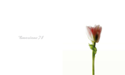 Untitled - yachtservice.it