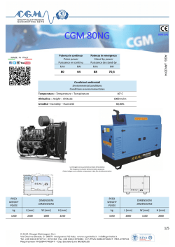 CGM 80NG - CGM Gruppi Elettrogeni