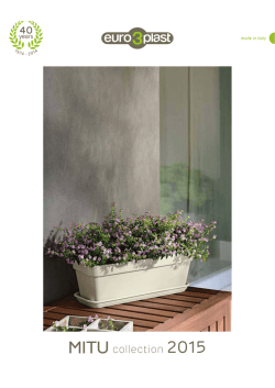 MITU collection 2015