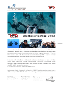 Scarica il programma in PDF del Corso Essentials of