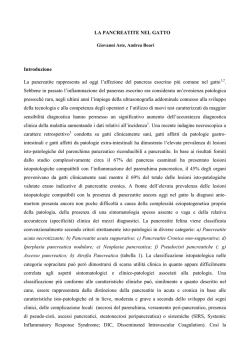 materiale corso 2013_2014 - Universit&agrave; degli Studi di Teramo