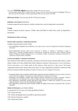 18.2.1 All.: Caricion nigraeKoch 1926 em. Klika 1934 nom. mut