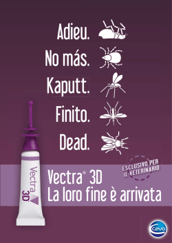 Scaricare - File PDF