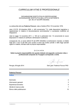 CURRICULUM VITAE E PROFESSIONALE