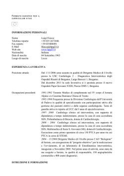Luigi Fiocca CV formato europeo