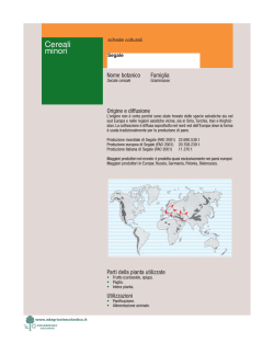 Segale - Tellus Trading