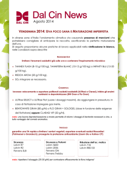 vendemmia 2014