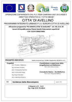 Elaborato n&deg;11 - incidenza della manodopera