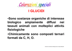 I GLUCIDI