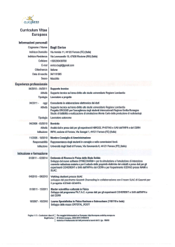Curriculum Vitae Enrico Bagli