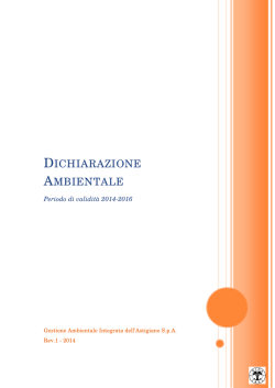 Dichiarazione Ambientale Rev.1 - 2014