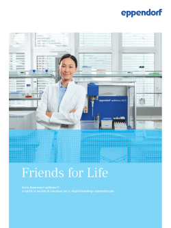 Brochure – Friends for Life