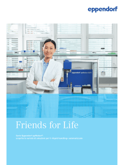 Brochure &ndash; Friends for Life