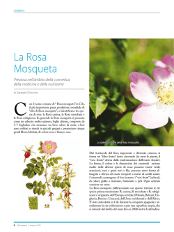 La Rosa Mosqueta