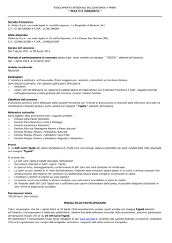 2014-009 Regolamento 1.3