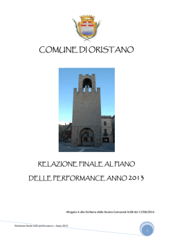 Relazione sulla performance 2013