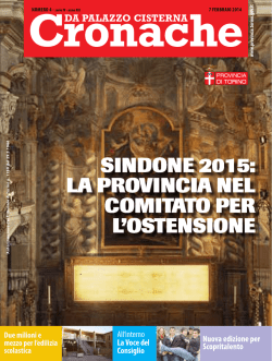 7 febbraio 2014 - Provincia di Torino