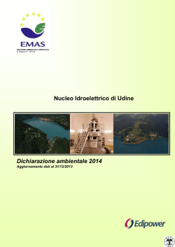 Nucleo Idroelettrico di Udine Dichiarazione ambientale
