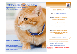 "Patologie Urinarie nel Gatto: il punto di vista del clinico e