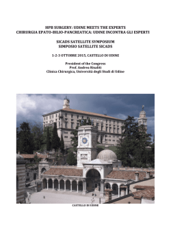 HPB SURGERY: UDINE MEETS THE EXPERTS CHIRURGIA