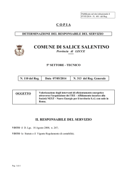 File: Determina n.313 - Comune di Salice Salentino