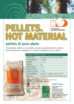 Flyer Schweighofer Pellets Italiano