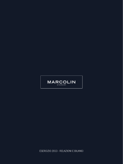 ESERCIZIO 2013 - RELAZIONI E BILANCI