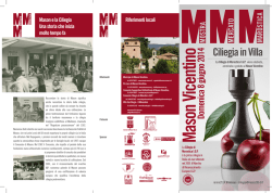 Pro Loco Mason Vicentino