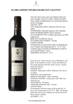 Illiria Negroamaro 2013