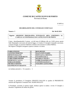 Delibera 3 C.C. - Adozione programma integrato area limitrofa casello