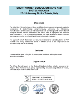 SHORT WINTER SCHOOL ON NANO AND BIOTECHNOLOGY 27