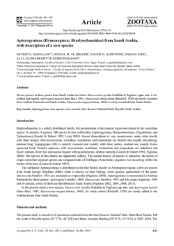 Preview - Magnolia Press