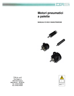 Manuale motori pneumatici a palette