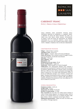 CABERNET FRANC - Azienda Agricola Ronchi San Giuseppe